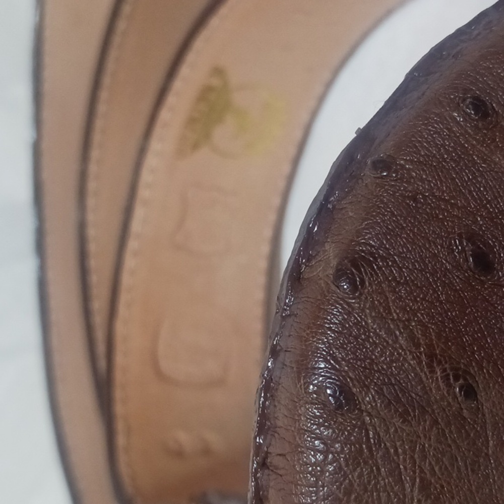 El Pajuelo Brown Ostrich Belt with Oval Buckle - Picture 2 of 5